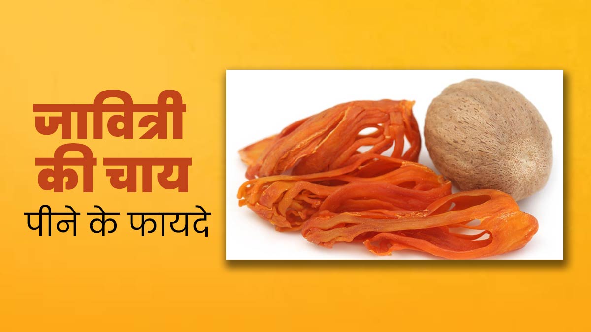 जावित्री की चाय है सेहत के लिए वरदान, जानें इसे पीने के 9 फायदे